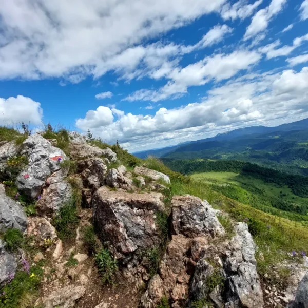 carobna kuca jahorina trebevic 002