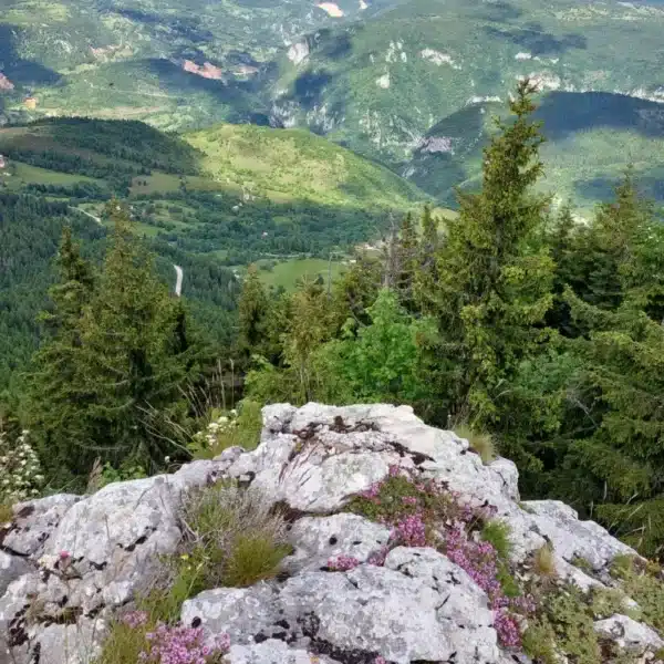 carobna kuca jahorina trebevic 005