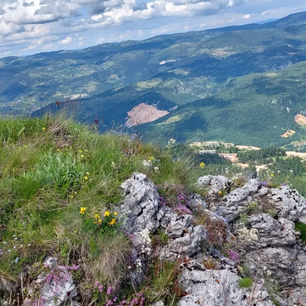 carobna kuca jahorina trebevic 006