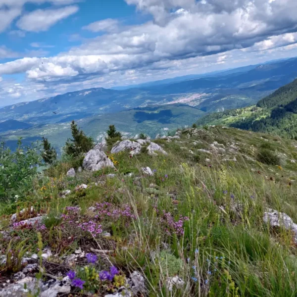carobna kuca jahorina trebevic 008