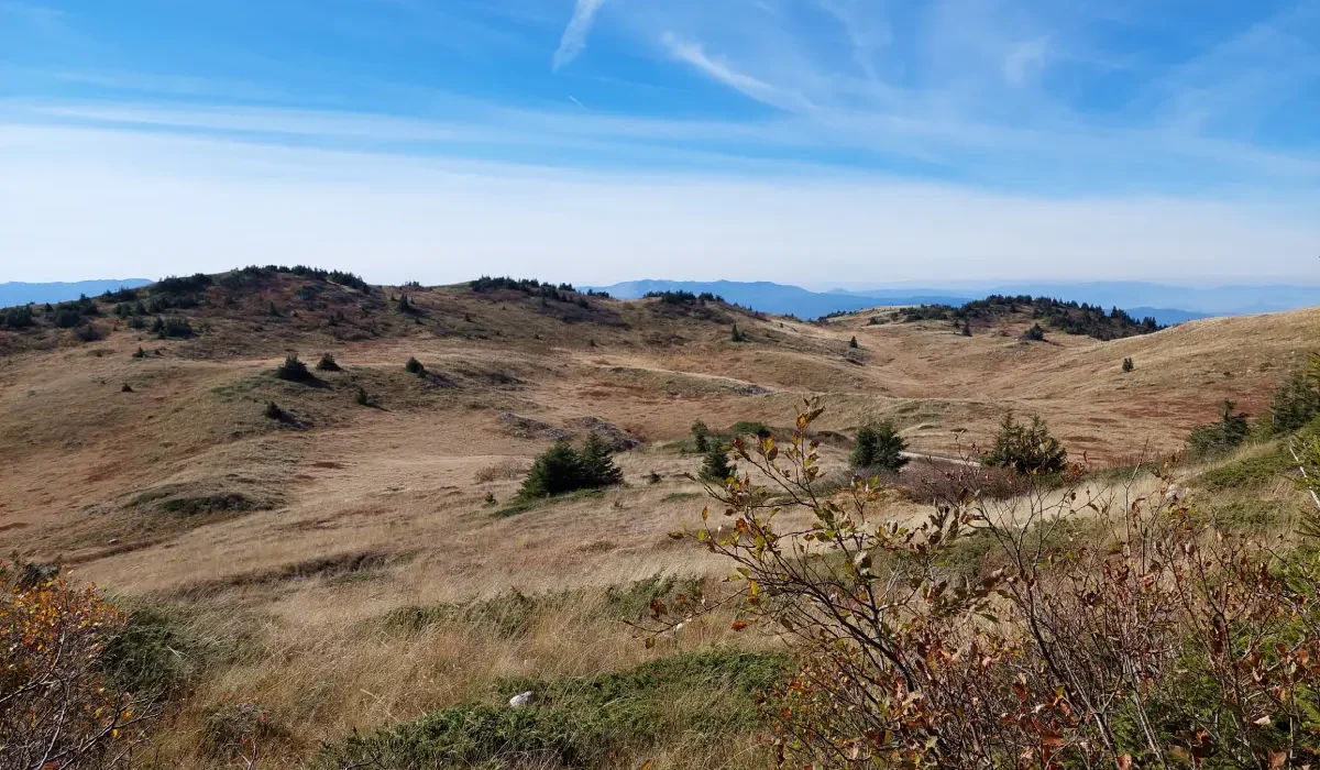 carobna_kuca_jahorina_025