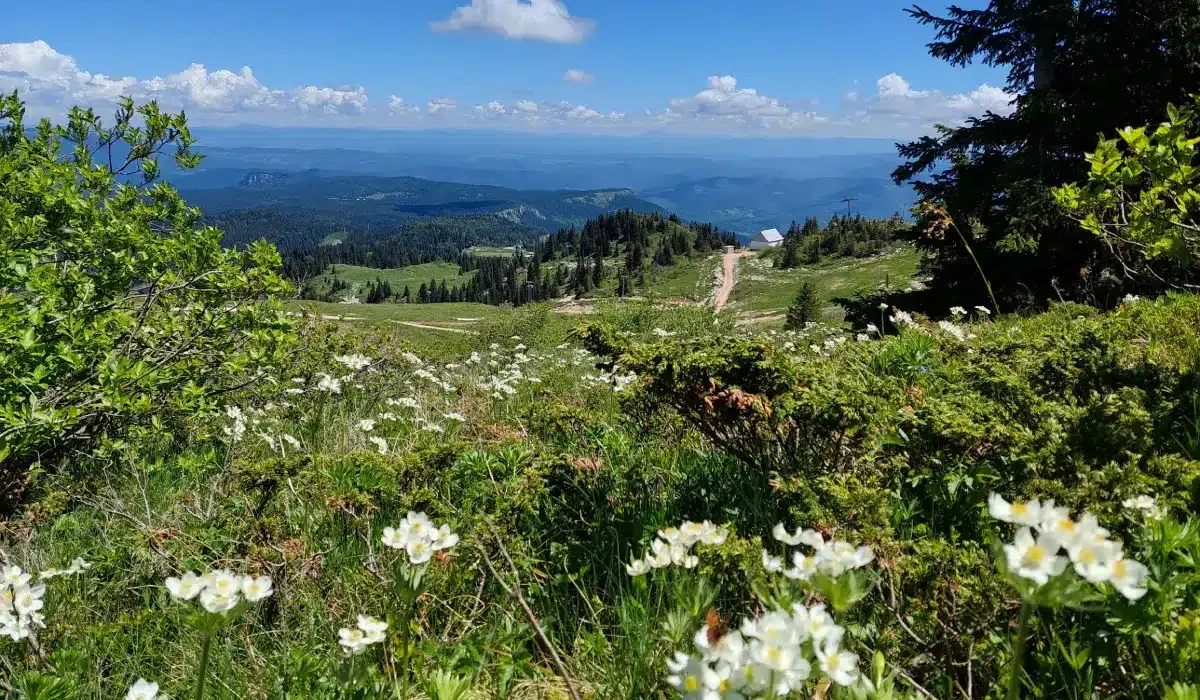 carobna_kuca_jahorina_034