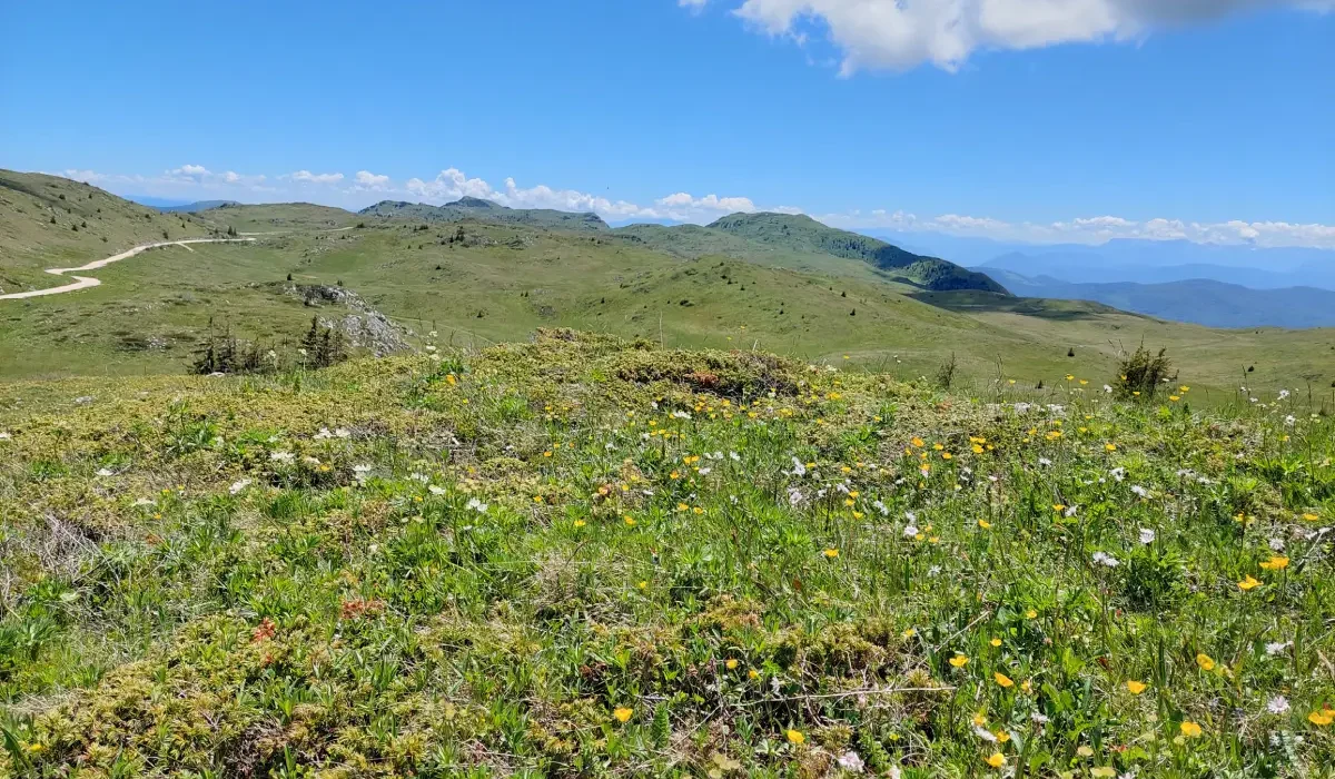 carobna_kuca_jahorina_036