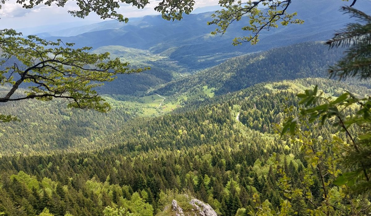carobna_kuca_jahorina_106