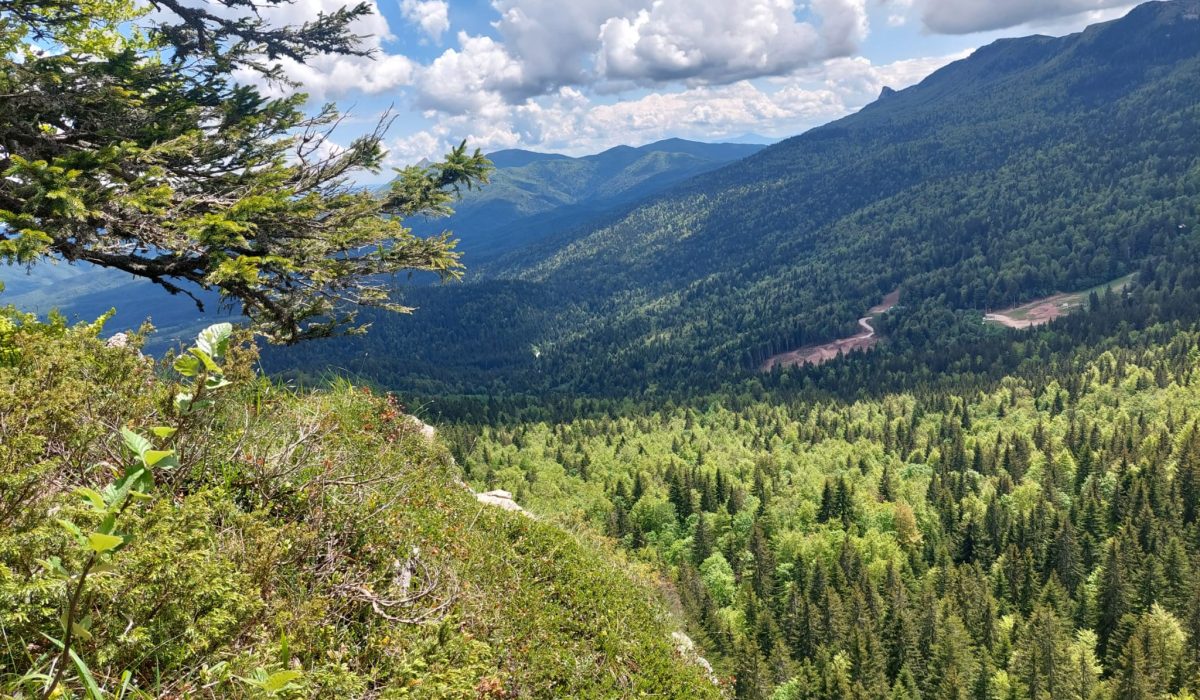 carobna_kuca_jahorina_109