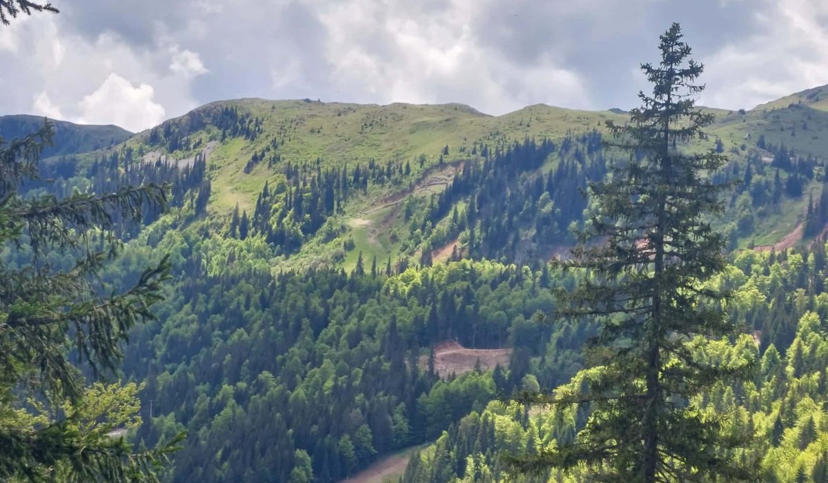 carobna_kuca_jahorina_110